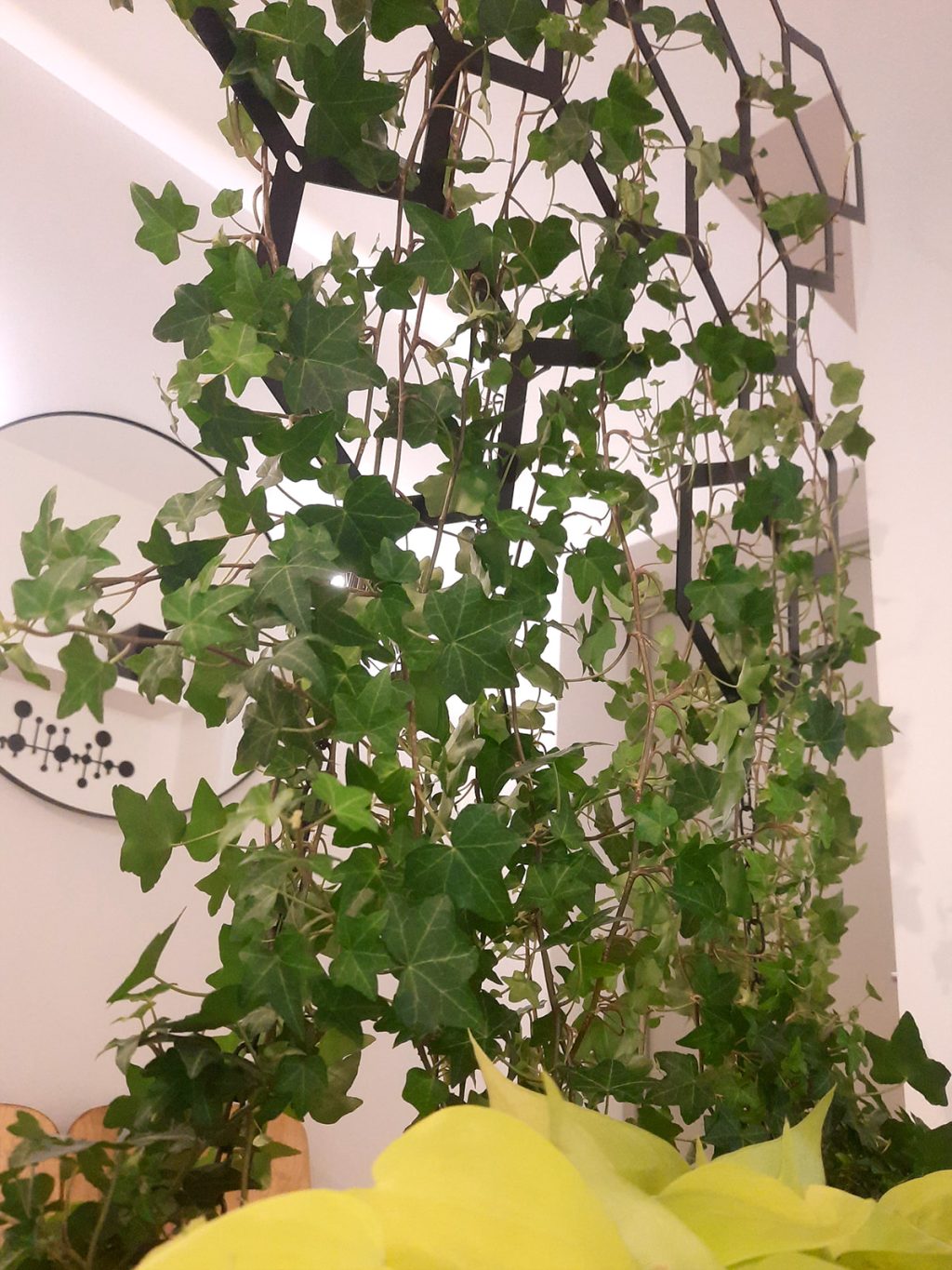 Décoration murale métallique pour plantes grimpantes Hexagone 73x104 cm – Image 4