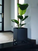 Porte-plante avec un pot profond  30x30x40 – Image 2