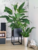 Porte-plante avec un pot profond  30x30x60 – Image 2