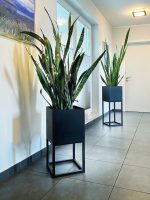 Porte-plante avec un pot profond  30x30x60 – Image 4