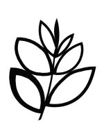 Treillis Floral M 55x67 cm